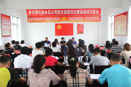 黨支部規(guī)范化建設(shè)交流_副本 黨支部規(guī)范化建設(shè)交流_副本